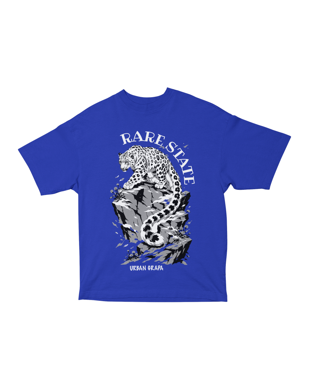 RARE STATE OVERSIZED T-SHIRT