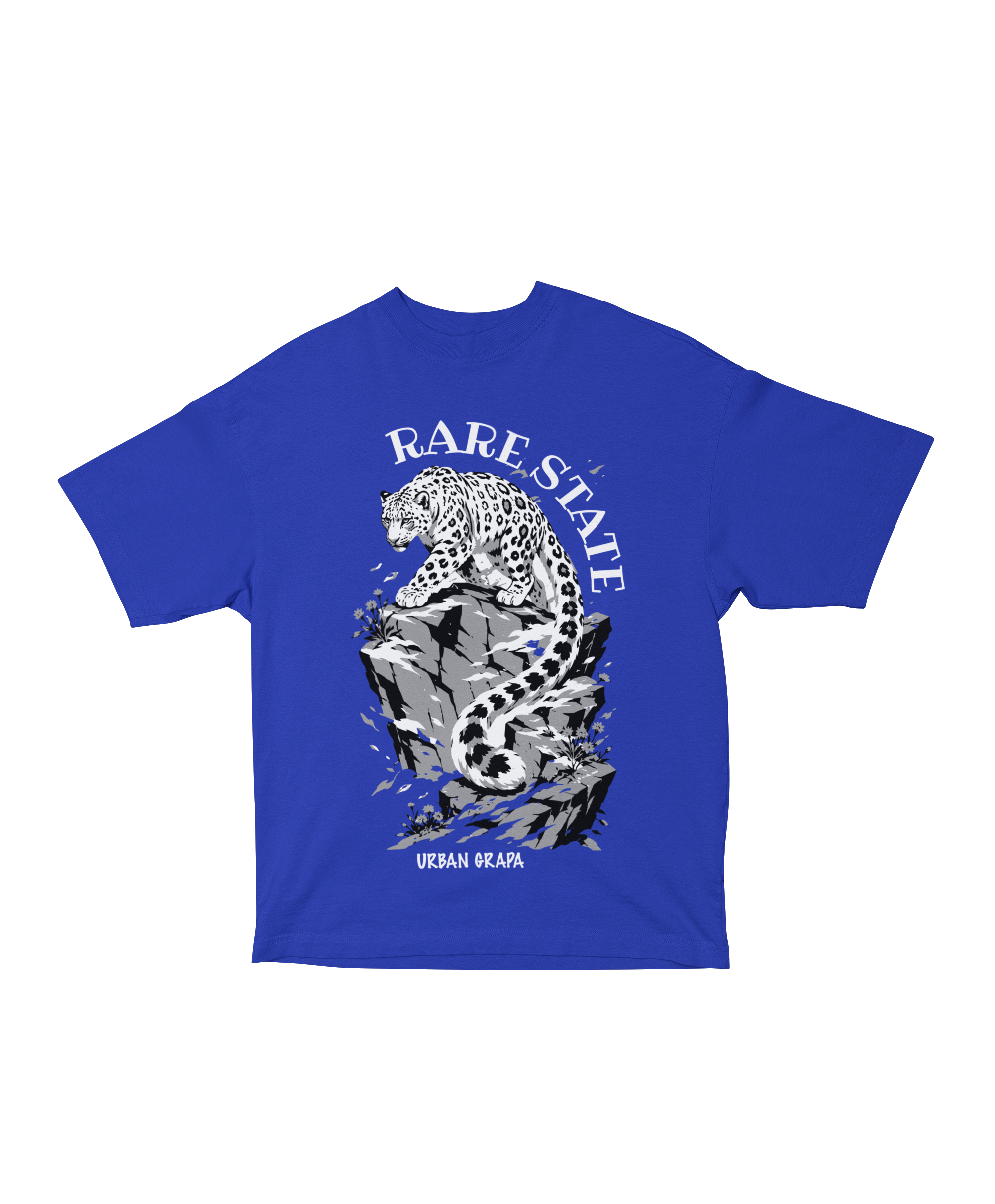RARE STATE OVERSIZED T-SHIRT