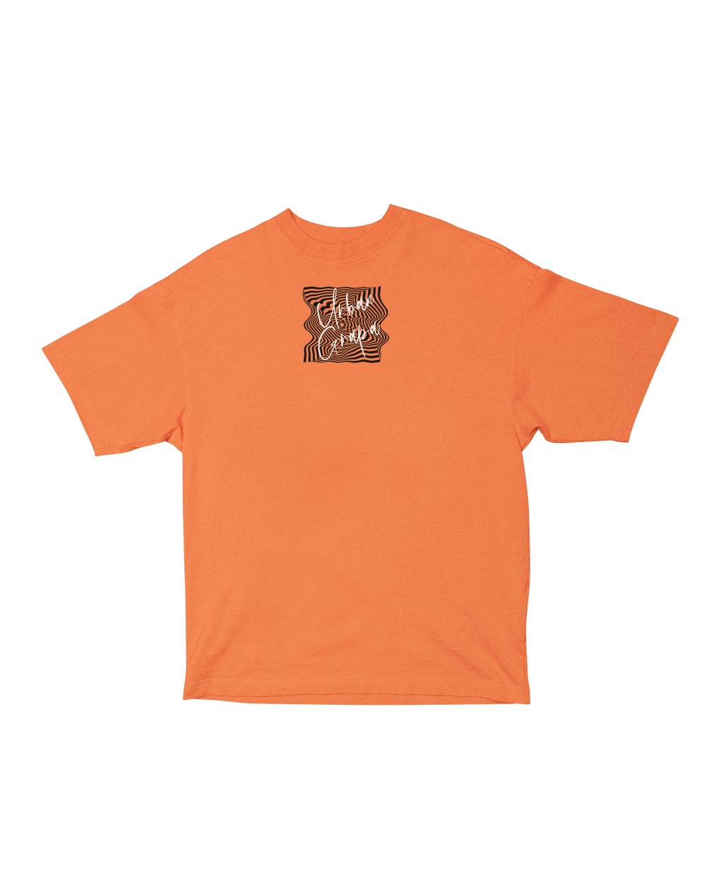 BE DELUSIONAL OVERSIZED T-SHIRT