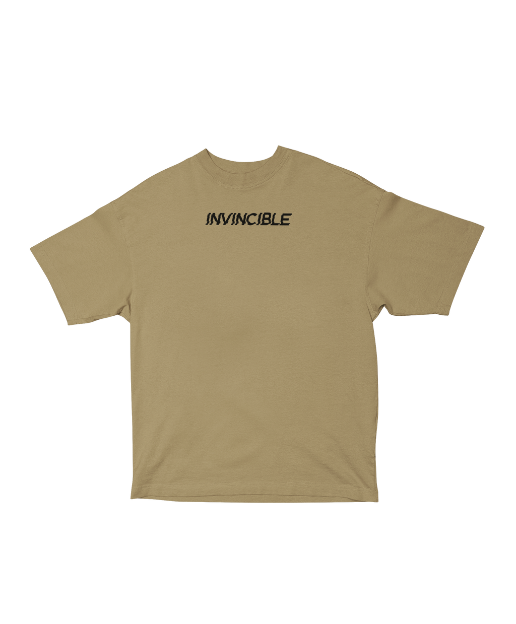 PHOENIX ASHES OVERSIZED T-SHIRT