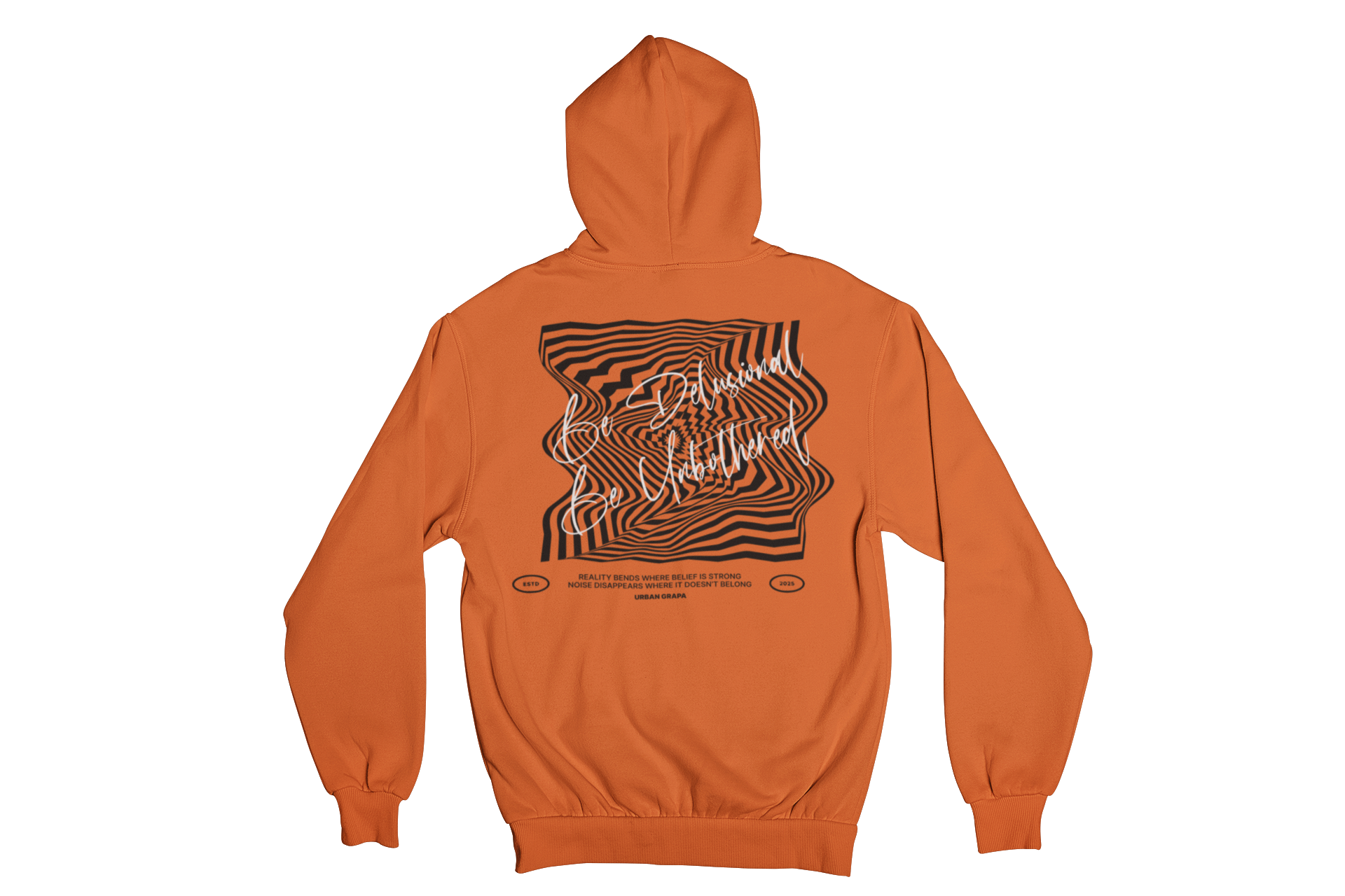 BE DELUSIONAL HOODIE 350 GSM FLEECE